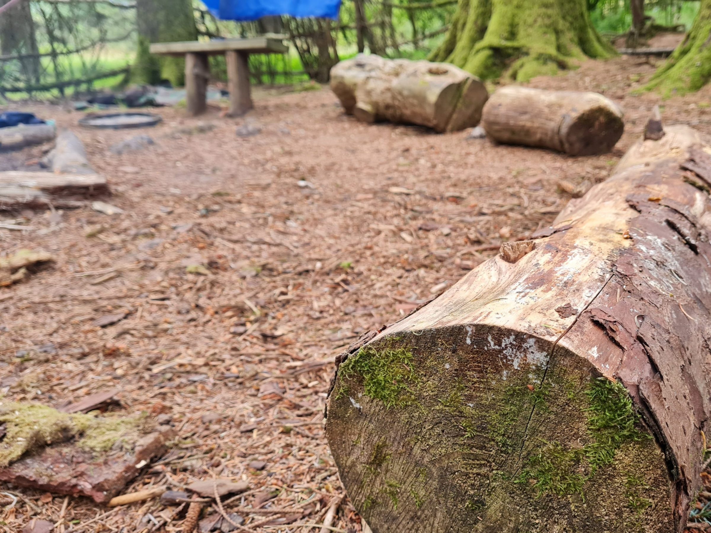 a close up of a rock