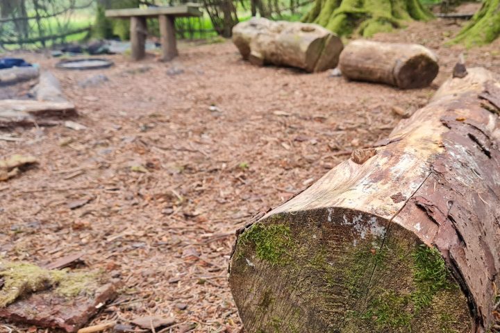 a close up of a rock