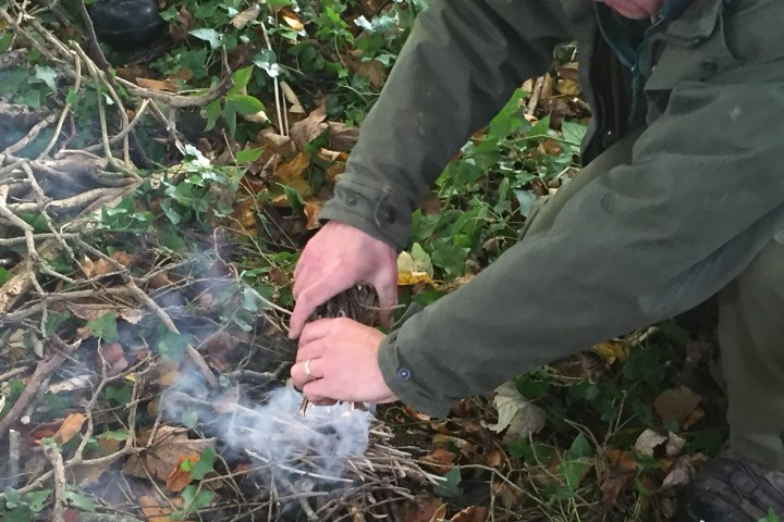 a person standing in the grass