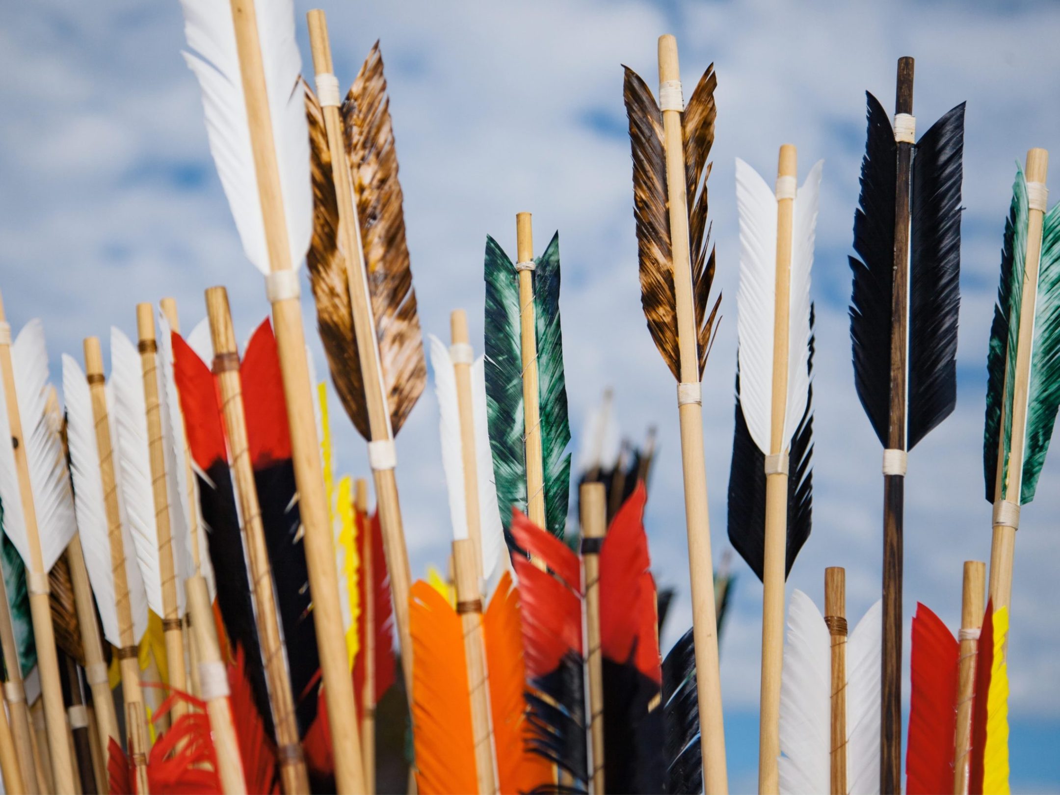 a close up of a flag hanging on a tree