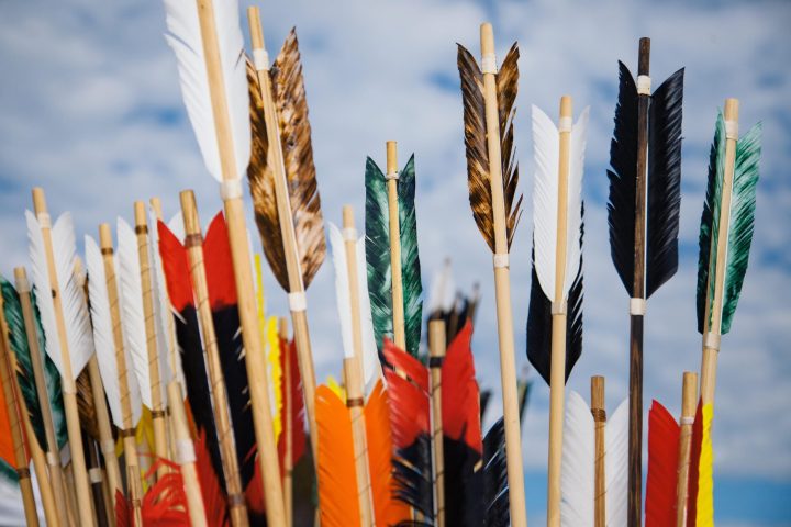 a close up of a flag hanging on a tree