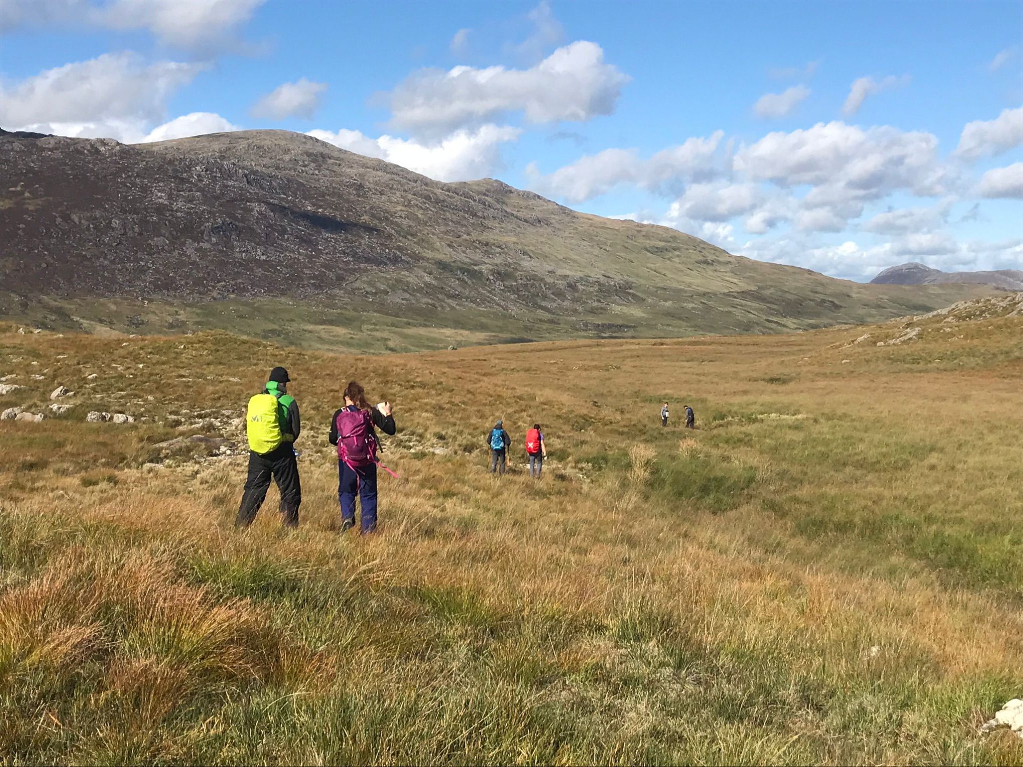 a group of people standing in a field with a mountain in the background