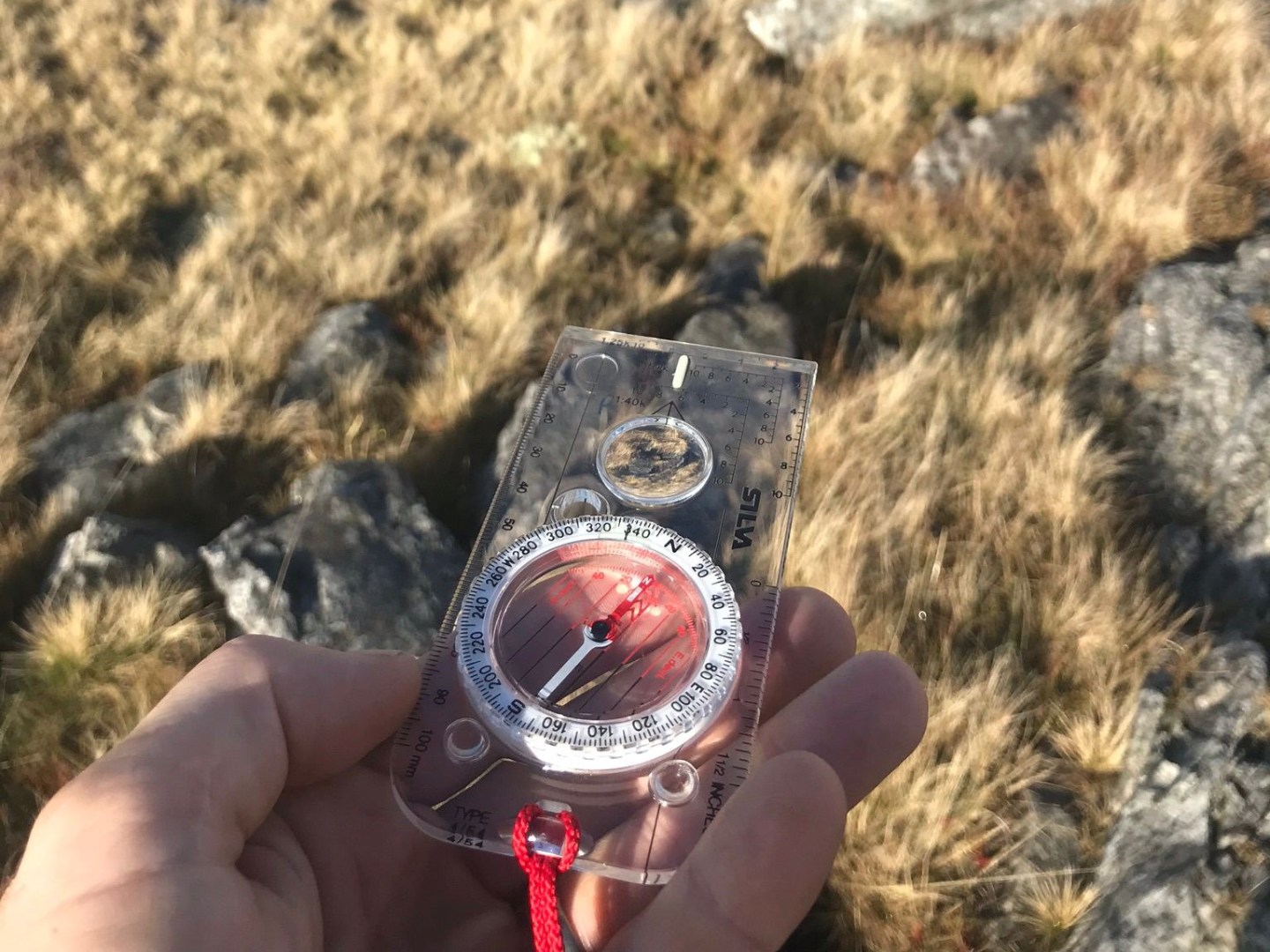 a hand holding a cell phone