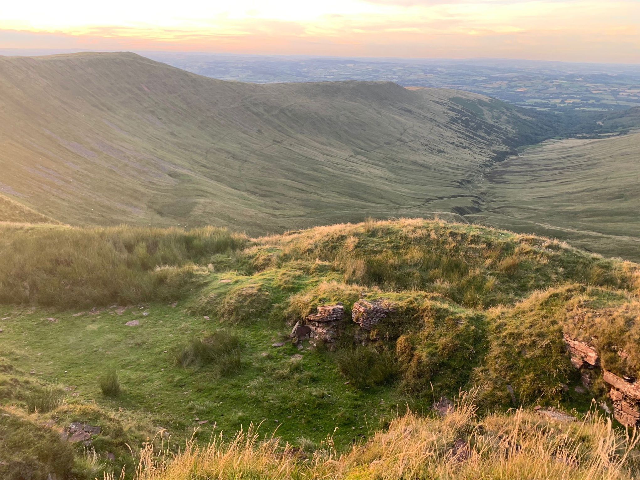 a field with a mountain in the background
