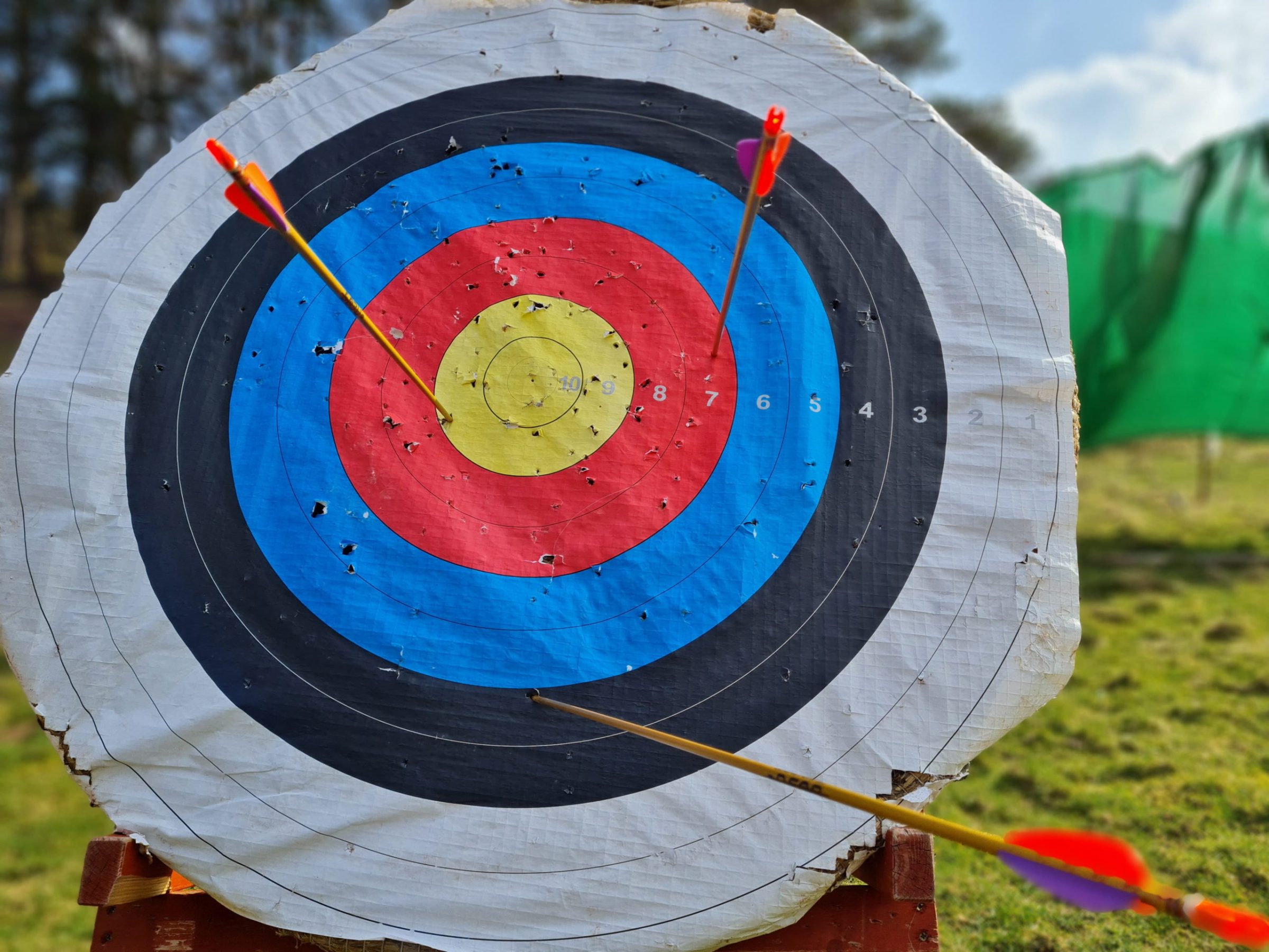 a close up of a decorated green grass