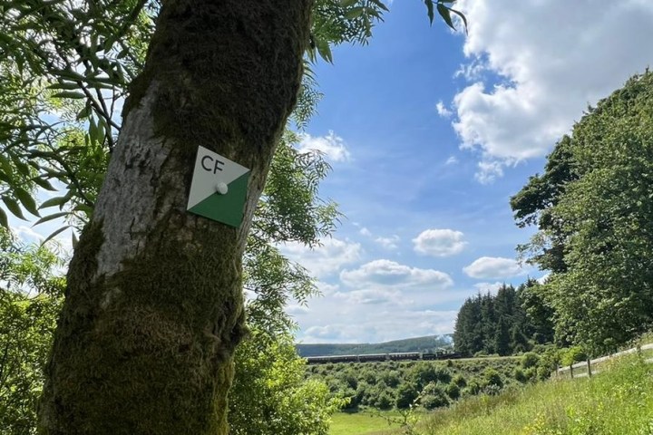 a sign on the side of a tree