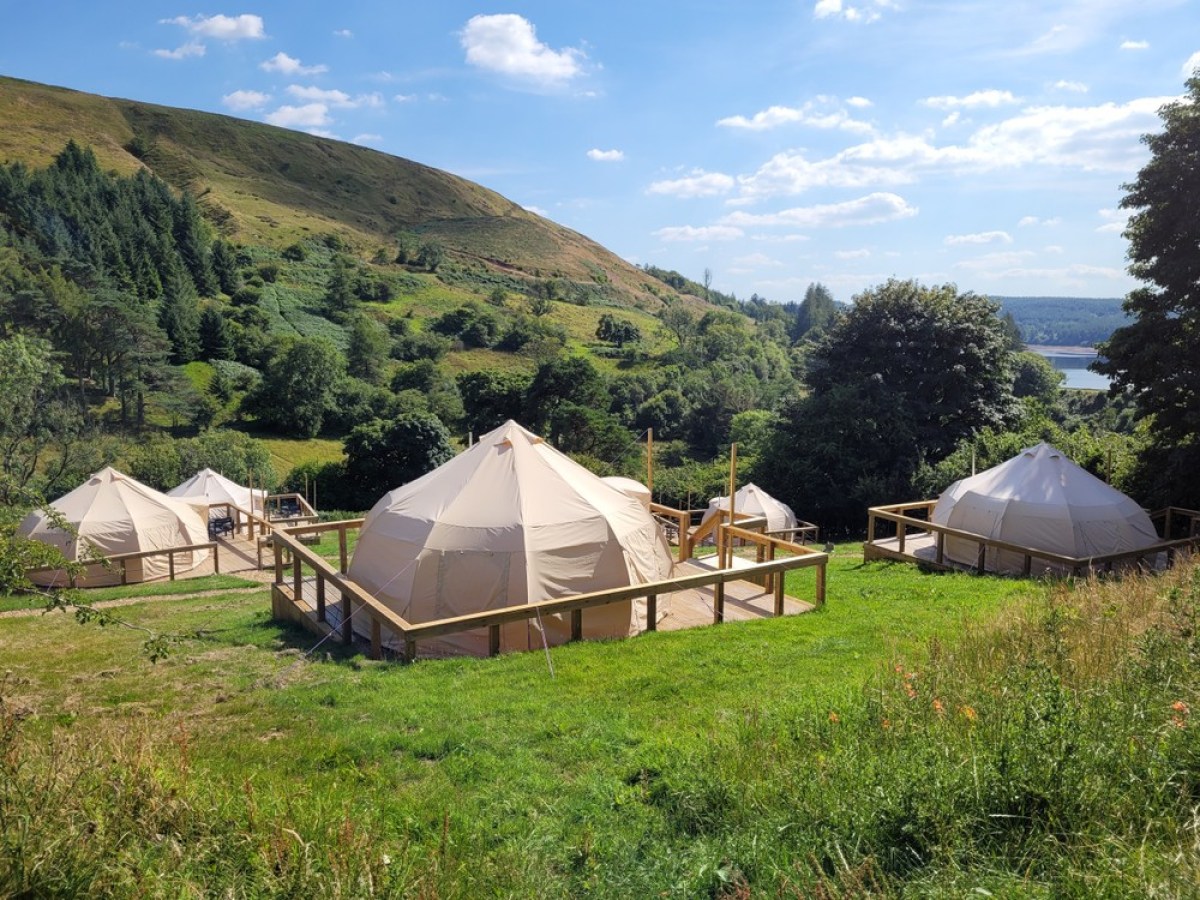 a tent in a grassy field