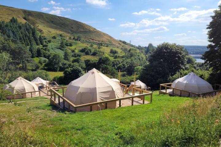 a tent in a grassy field