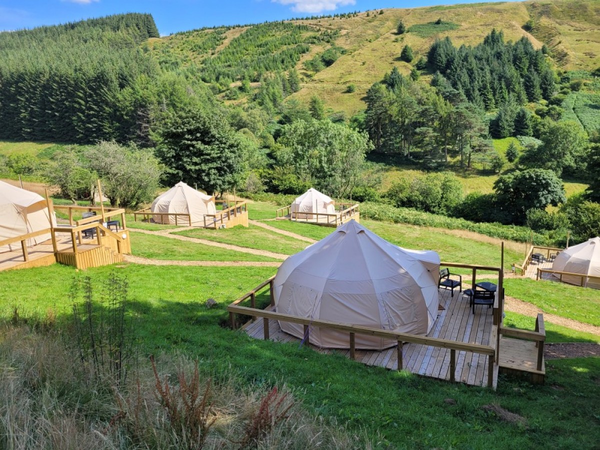 a group of lawn chairs sitting on top of a lush green field