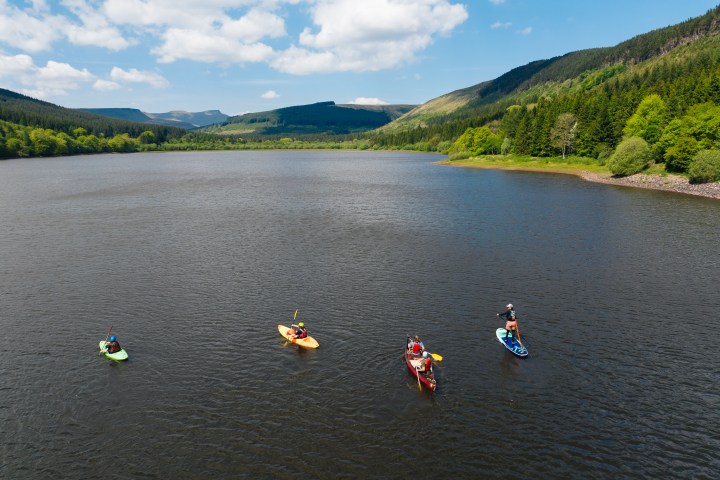 a group of people flying kites in a body of water