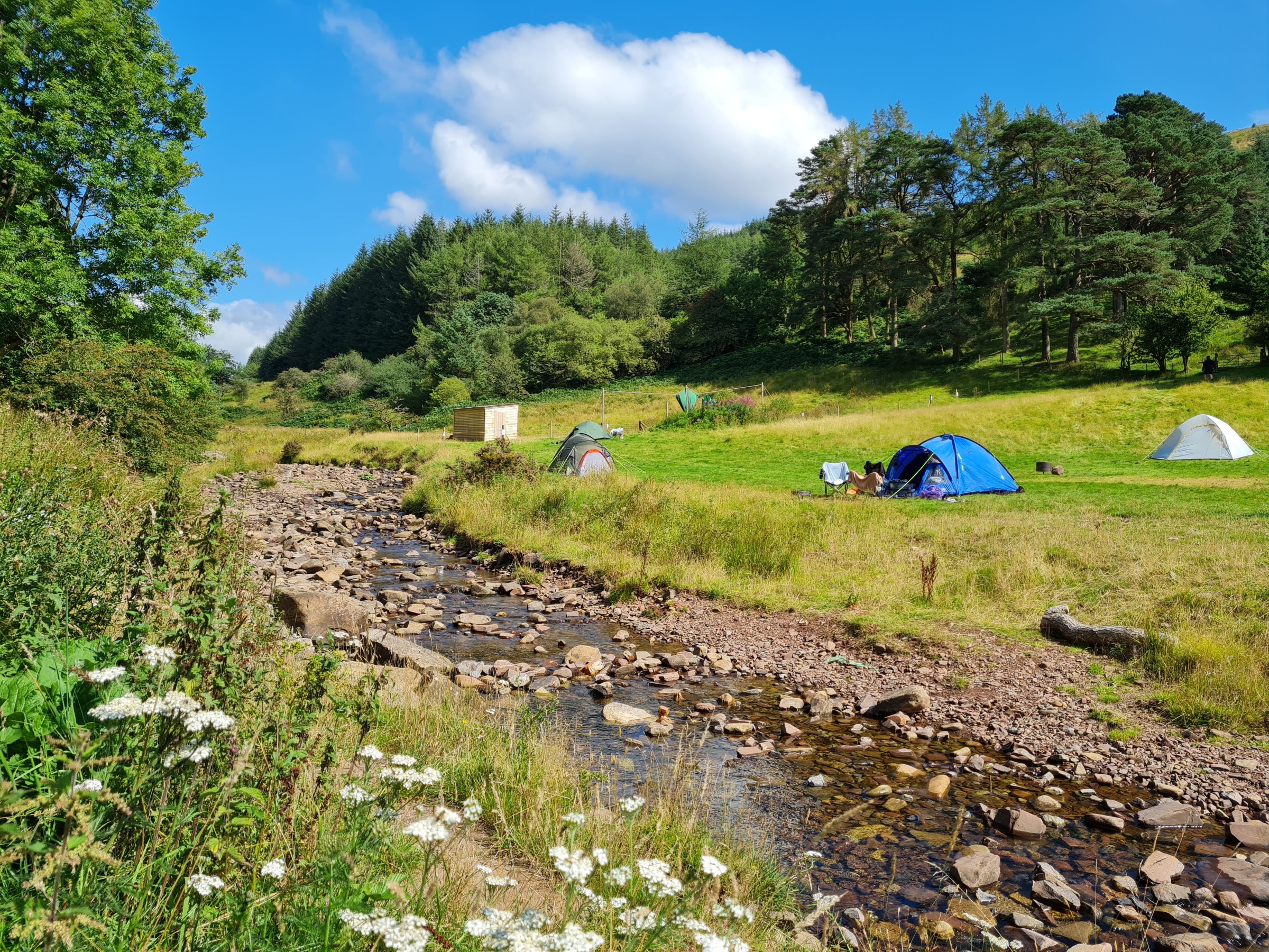 Camping tents near a stream with grassy fields and trees under a blue sky.