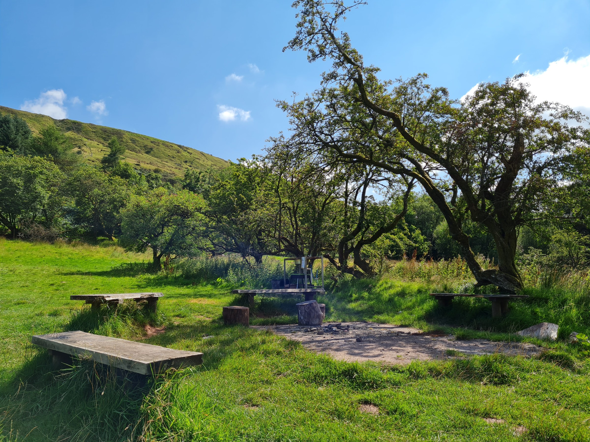 Picnic area with benches, fire pit, and trees under a clear blue sky.