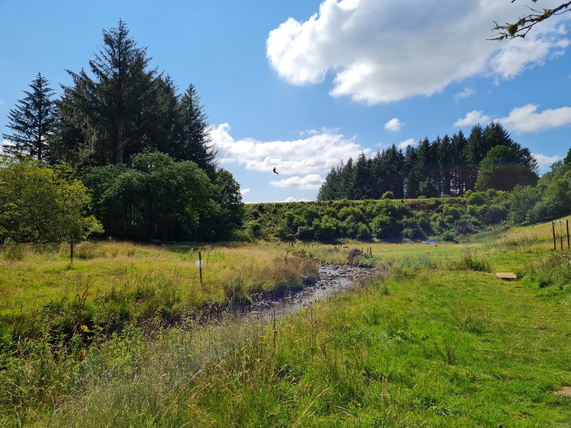 Grassy field with trees, a small stream, and a blue sky with clouds.